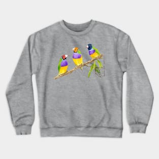 Gouldian finch bird citrus green Crewneck Sweatshirt